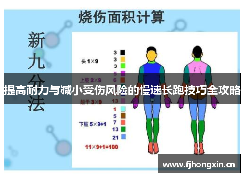 提高耐力与减小受伤风险的慢速长跑技巧全攻略