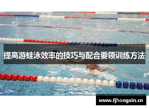 提高游蛙泳效率的技巧与配合要领训练方法